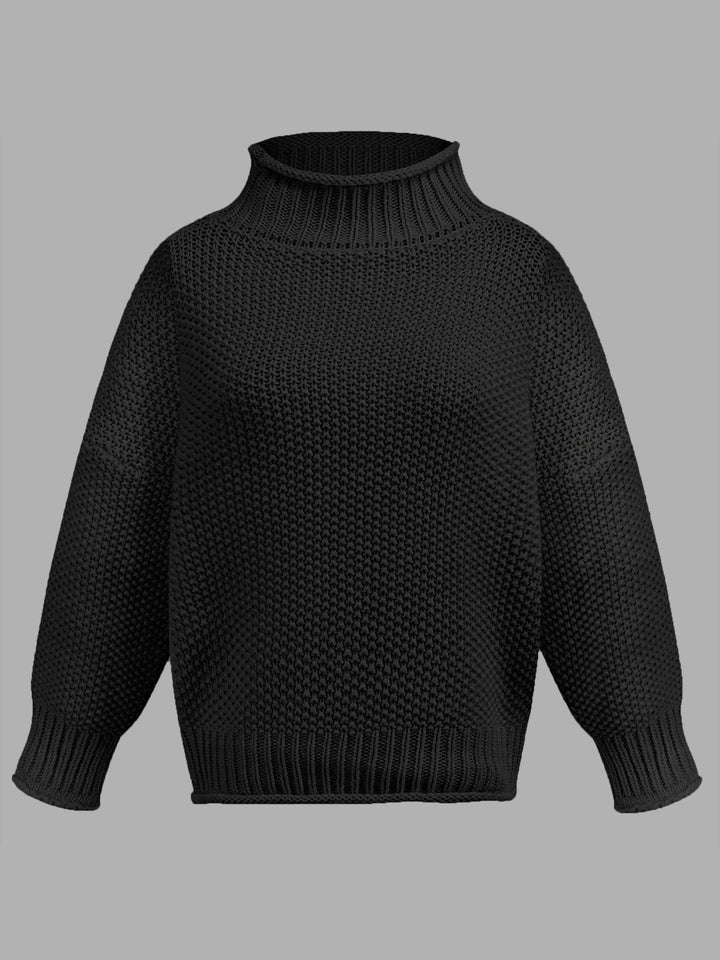 Turtleneck Long Sleeve Sweater